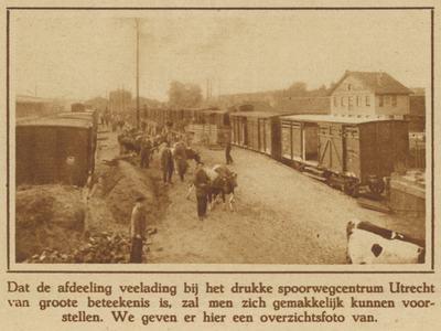 871870 Afbeelding van het transport van vee, op de afdeling veelading bij het Centraal Station te Utrecht.